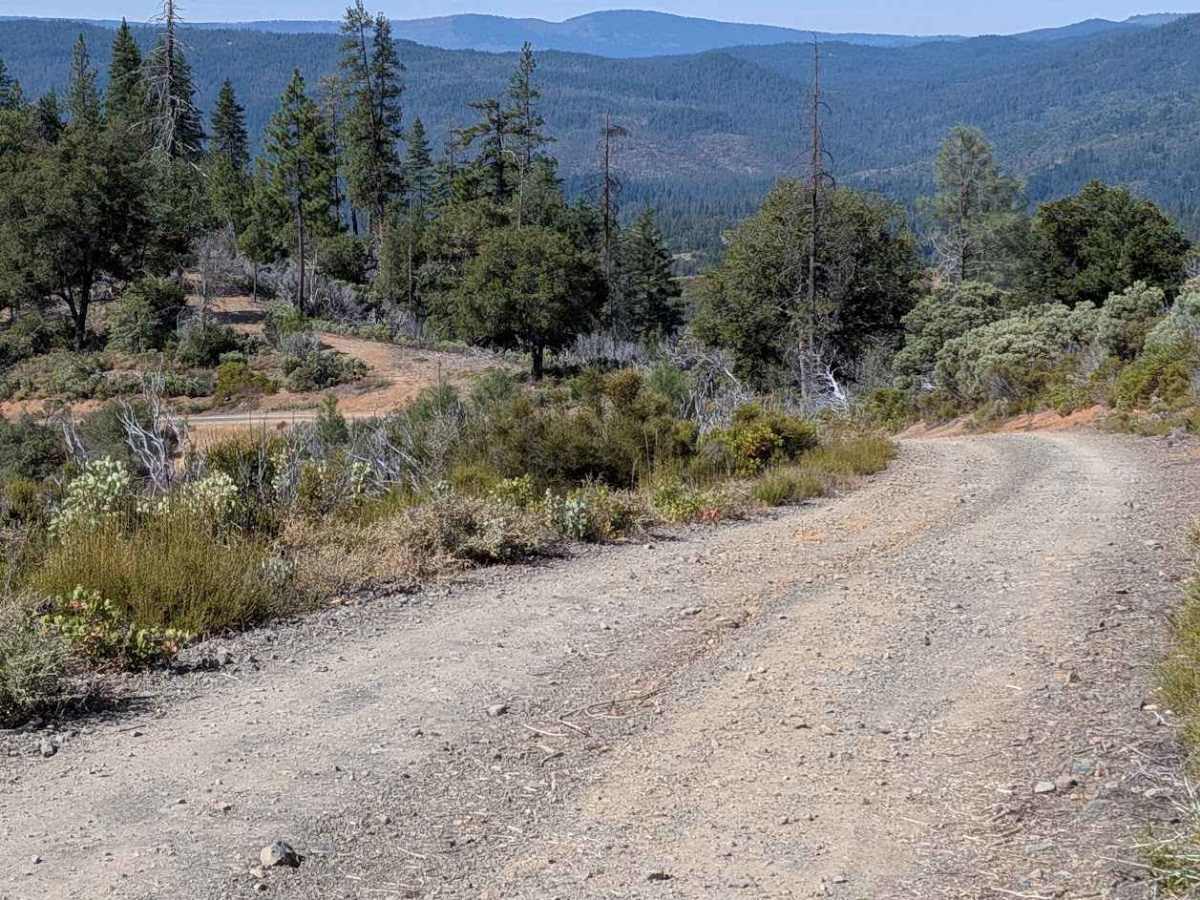Carrier Divide Rd - FS 31N18  photo 4