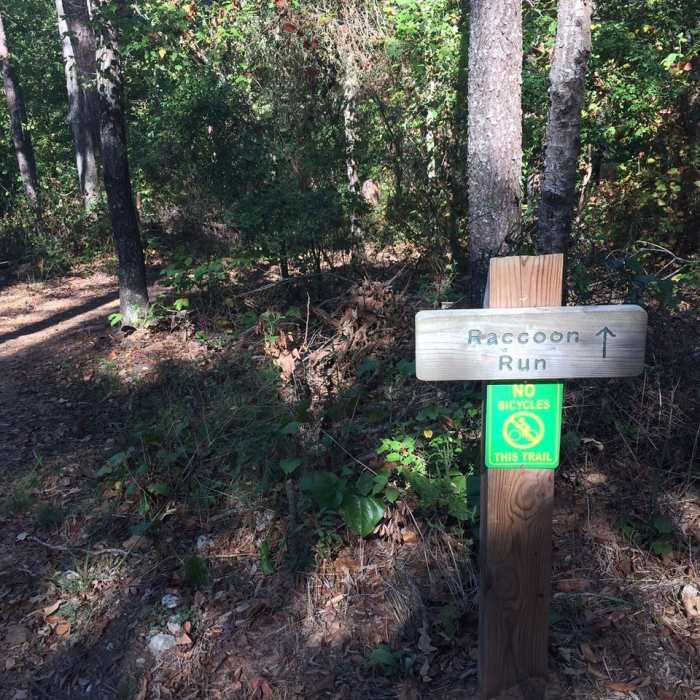 After crossing a steel bridge for the 2nd time, this is the last left turn before finishing. Near The Big Lefty