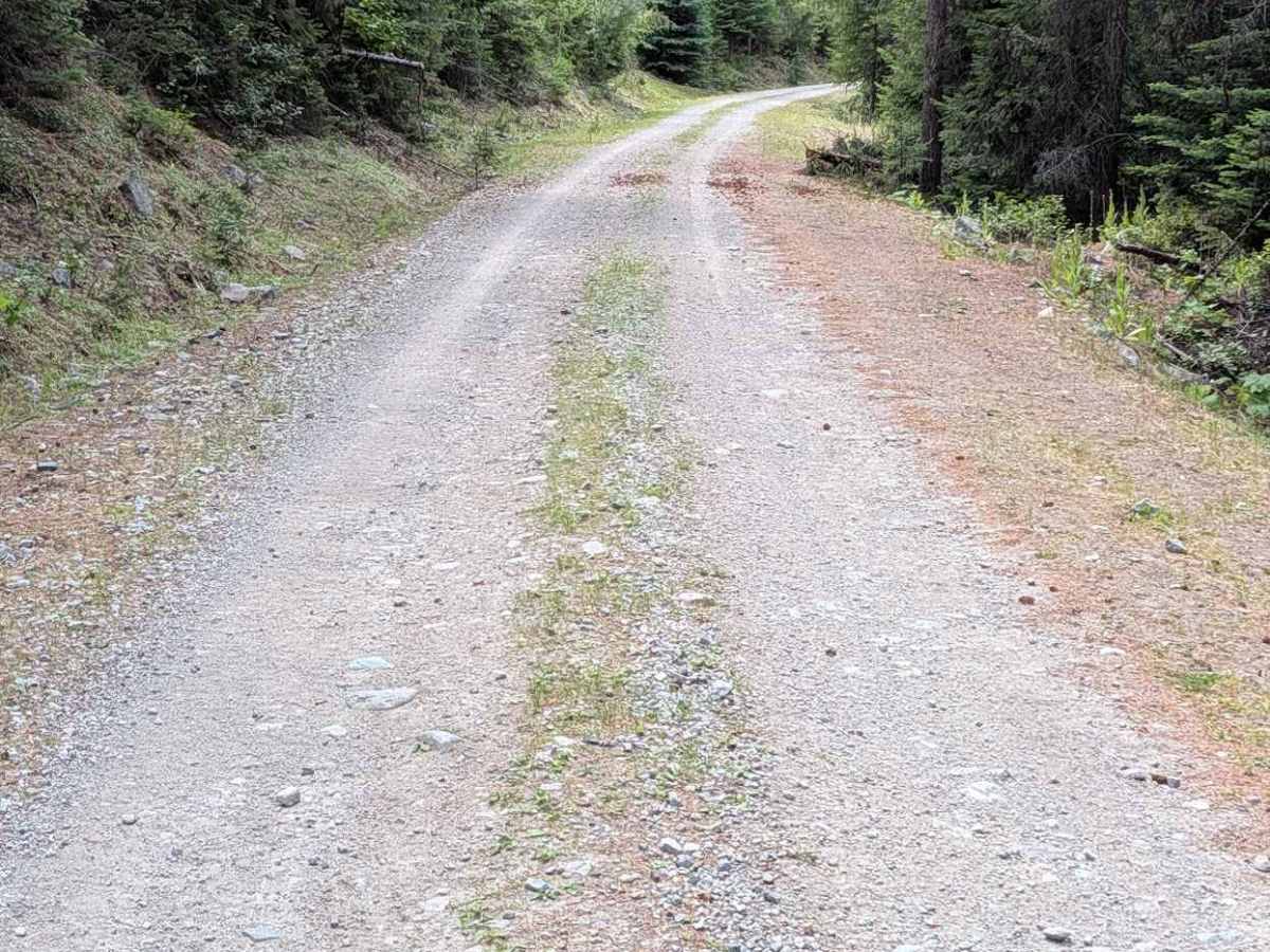 Twin Peaks Road photo 5