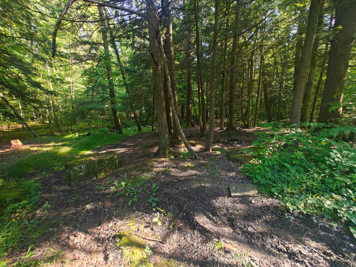 CDW Run Road trail photo