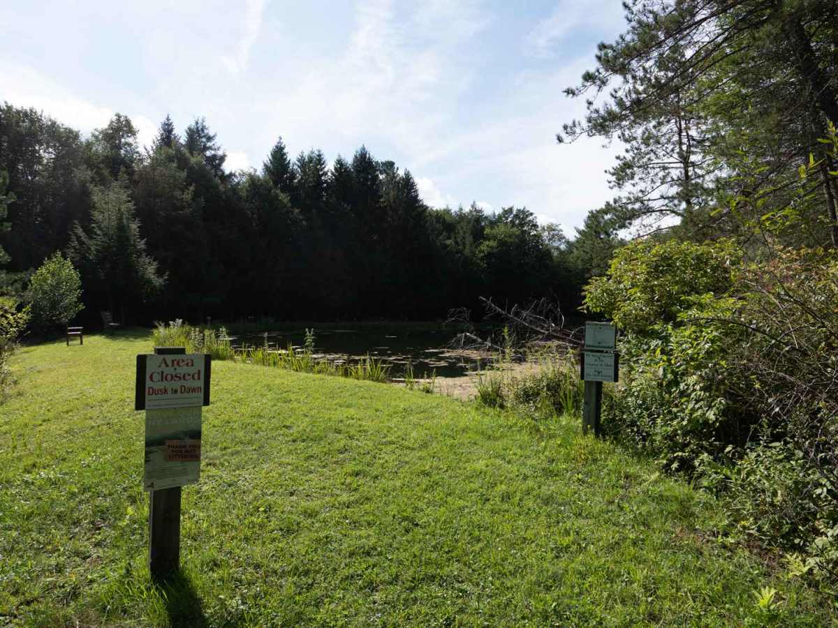 Rehler Forest Road photo 4