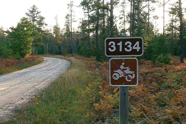 Fish Hatchery Road - FS 3134