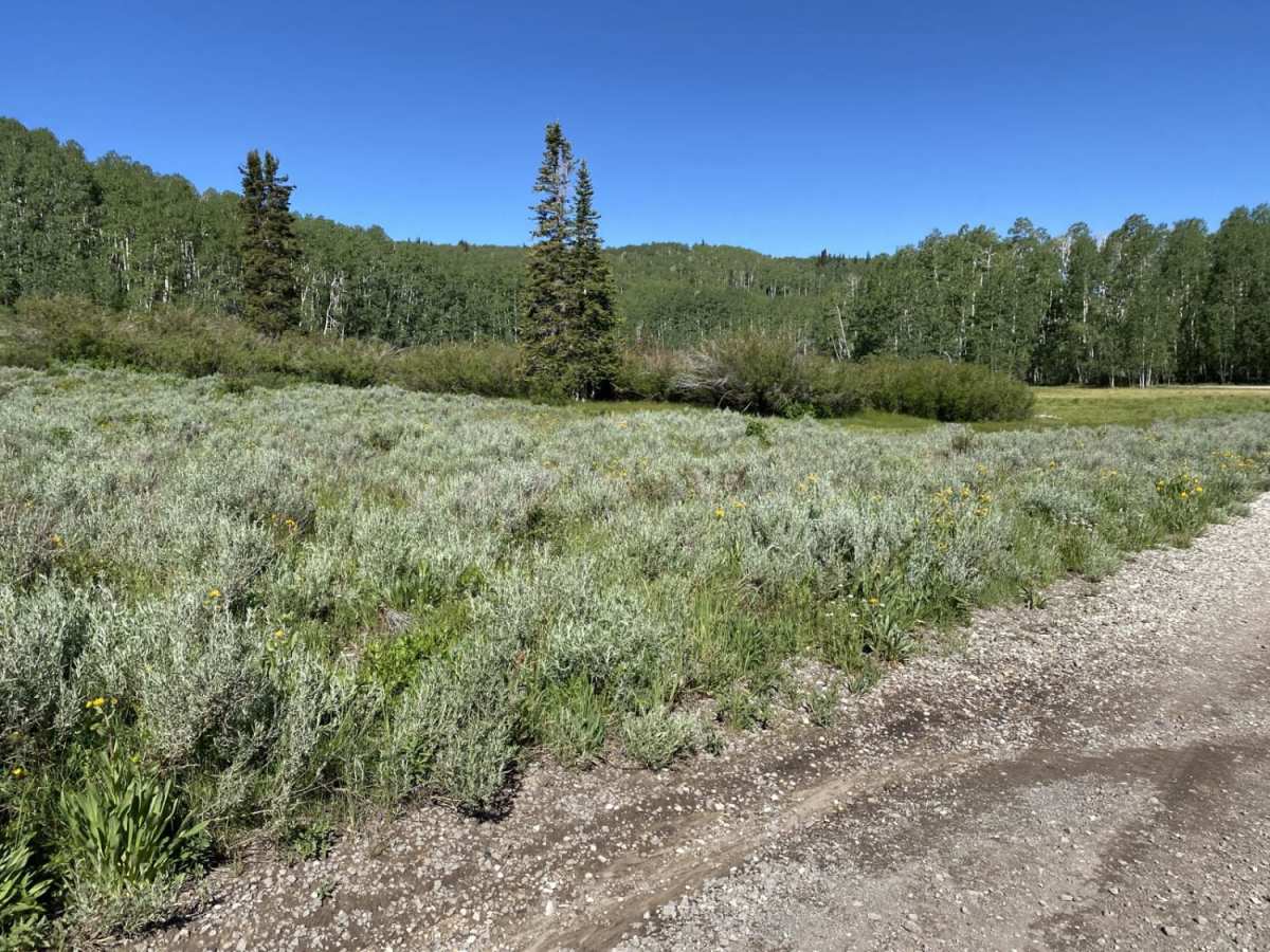 Farnsworth Lake Road photo 6