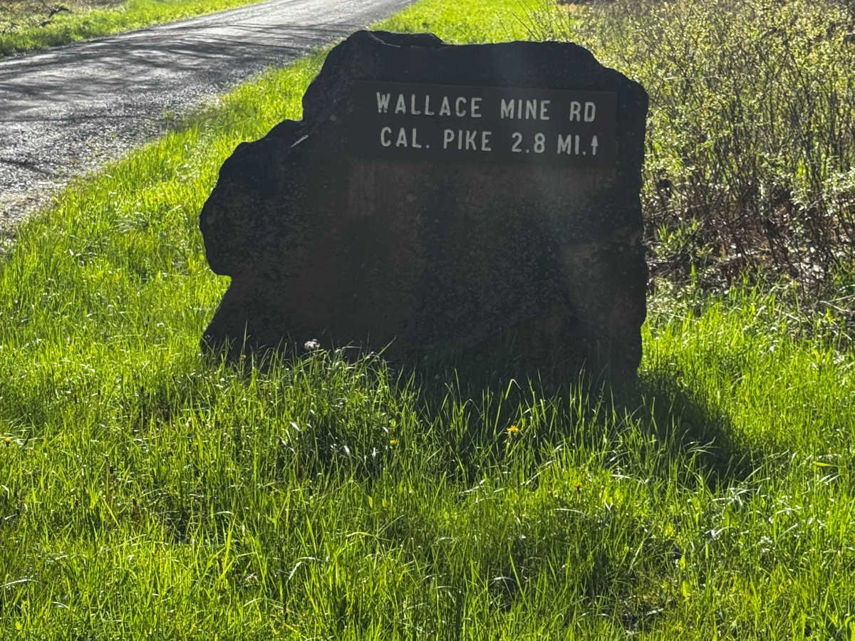 Wallace Mine Road trail photo