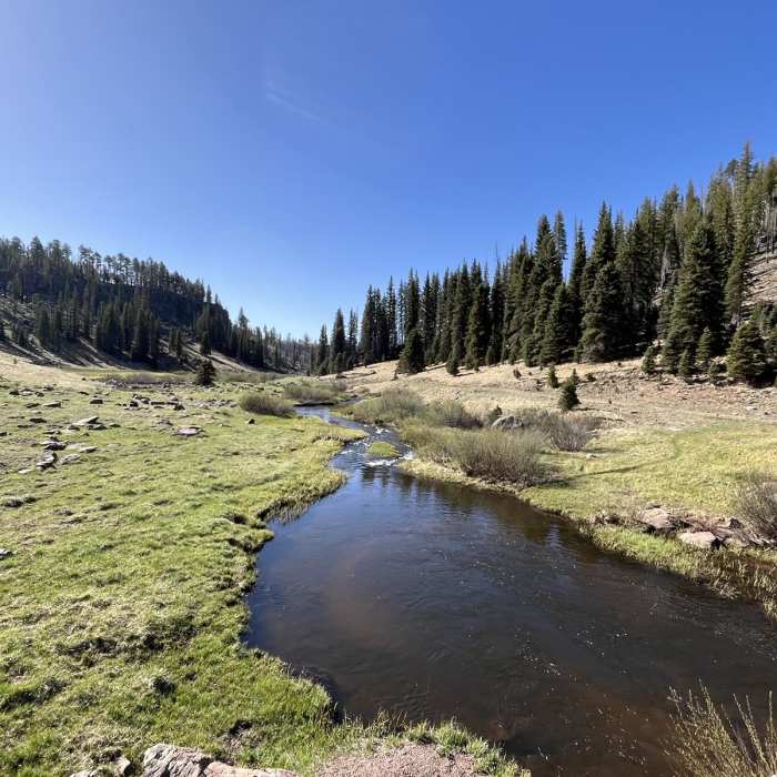 Near Thompson Trail 629