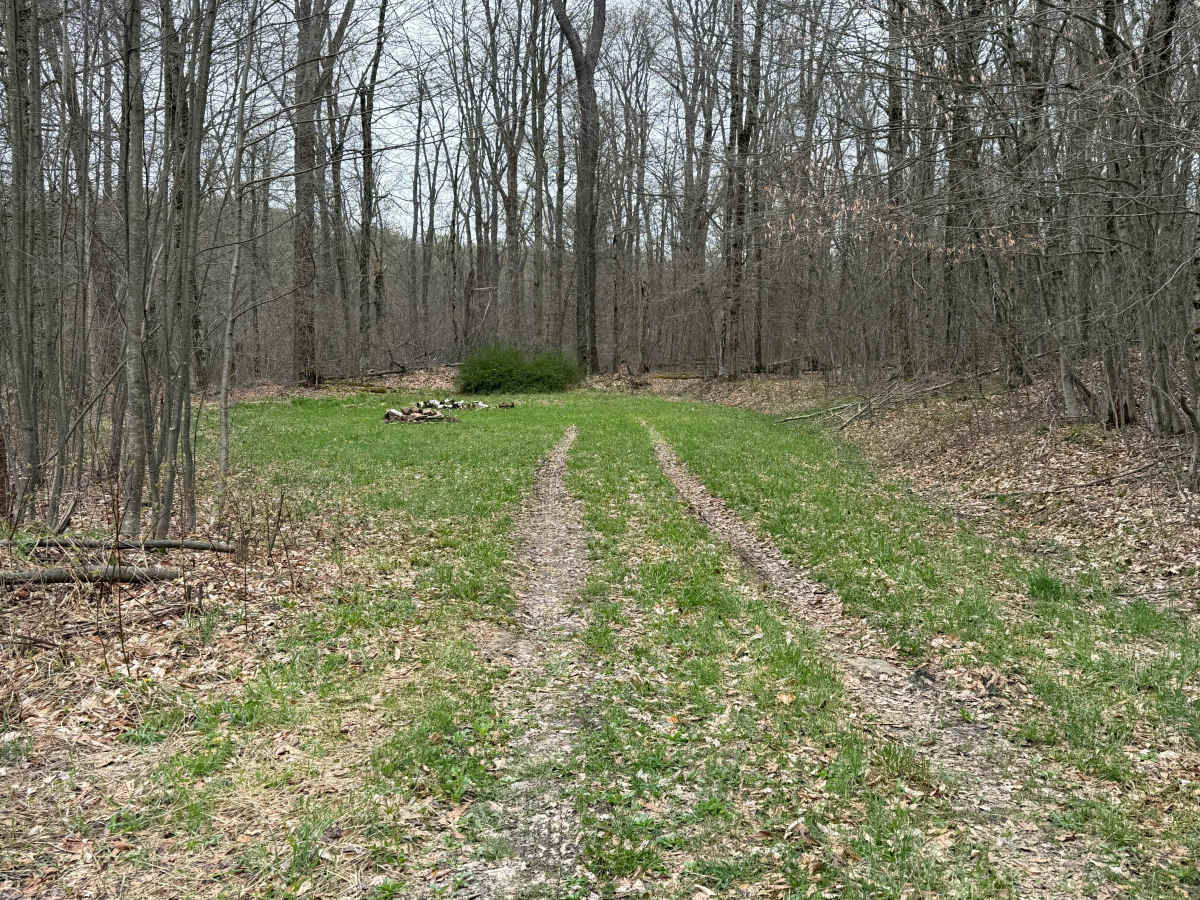 Morrison Run - FS 266 photo 4