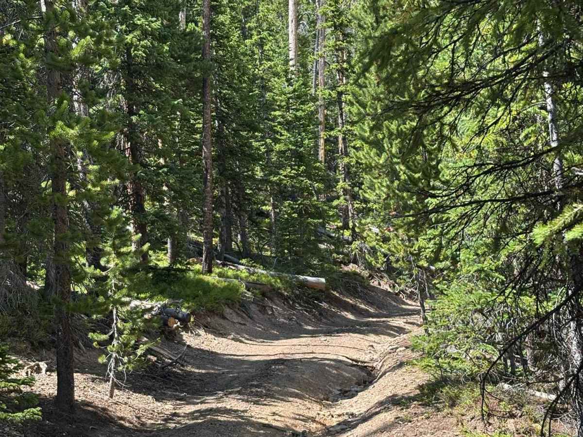 Hot Sulphur Spur Road photo 6