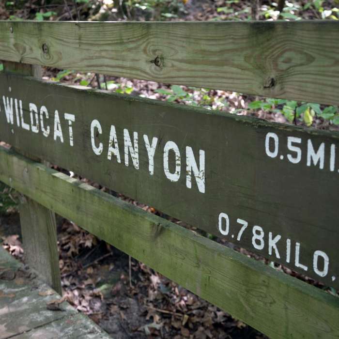 Near Wildcat Canyon Trail Near Wildcat Canyon Trail