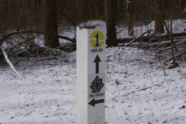 Trail 17 Upper