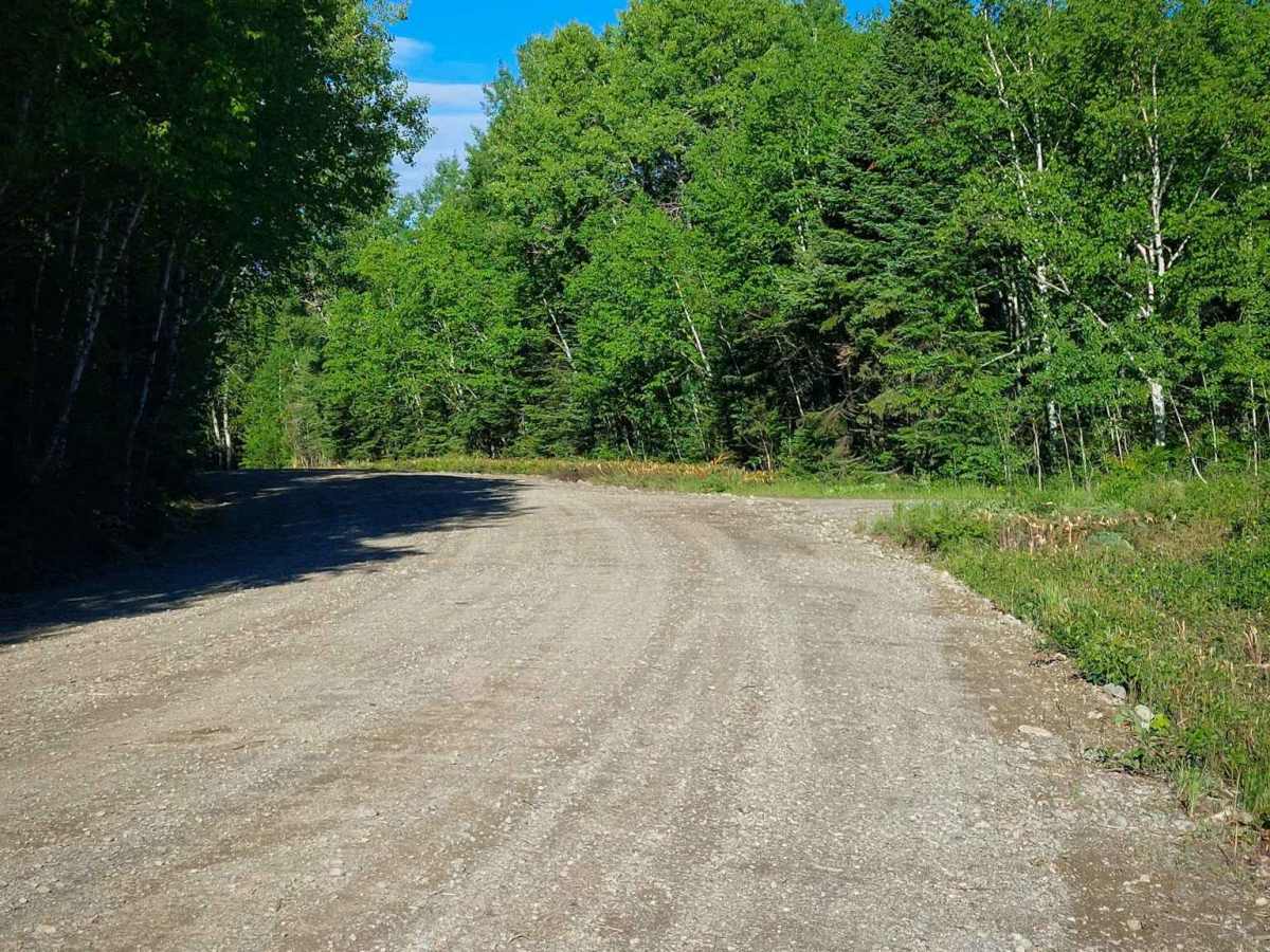 Knoll Spruce River Road photo 4