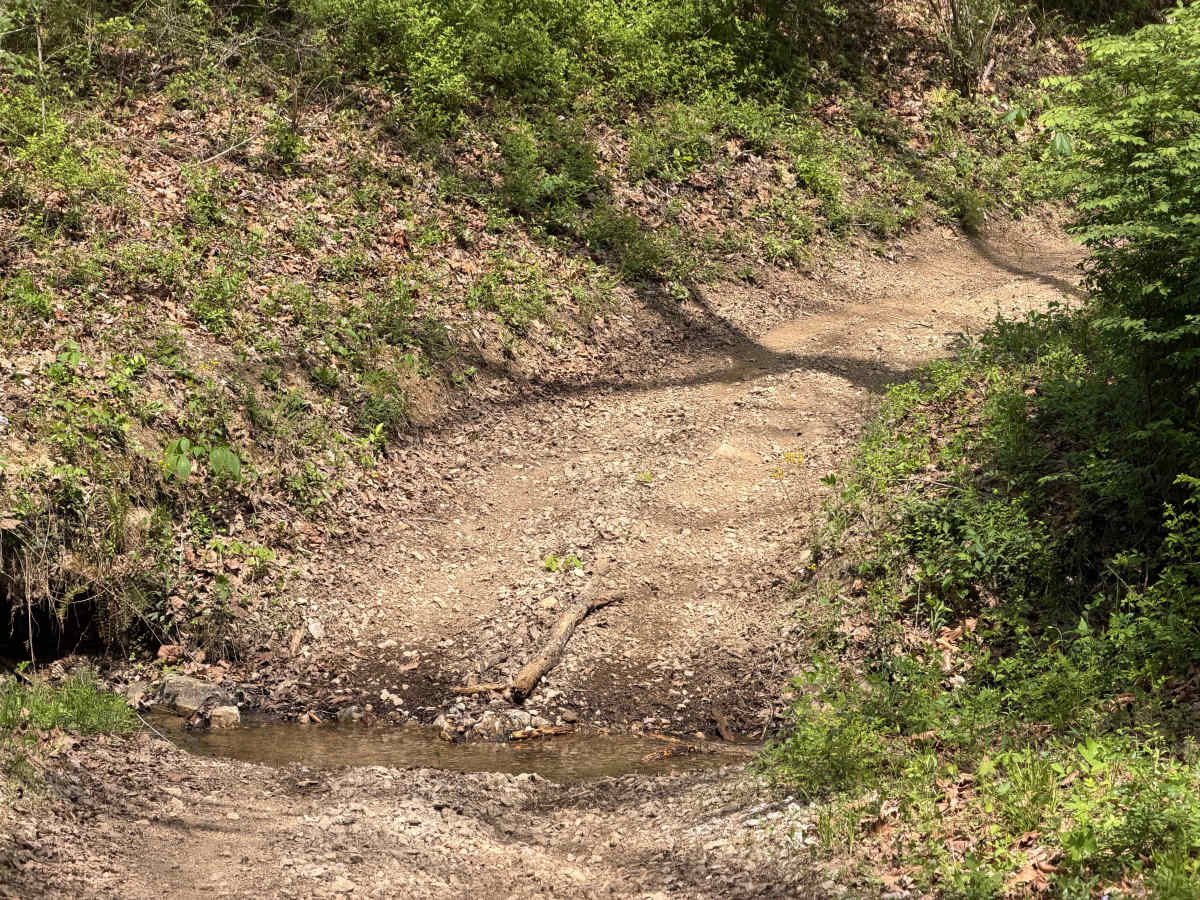 Powerline Trail photo 6
