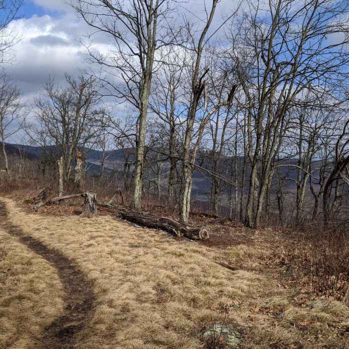 Near Big Schloss from Wolf Gap