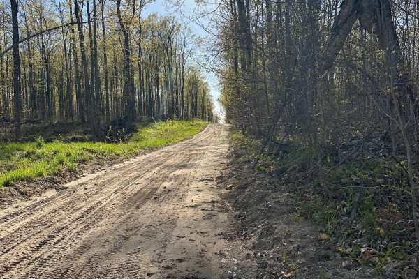 Papoose Lake Road