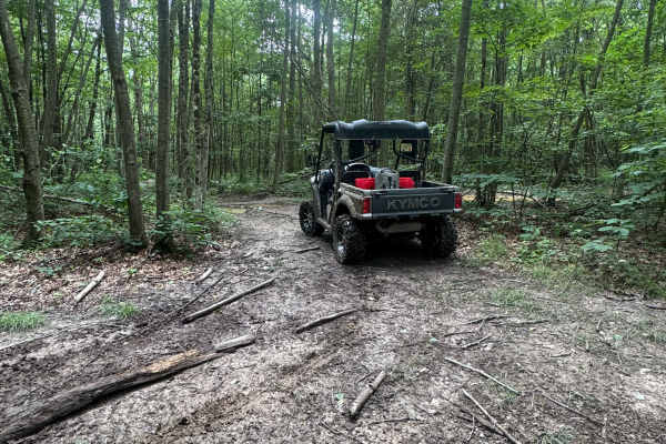 Trail 81
