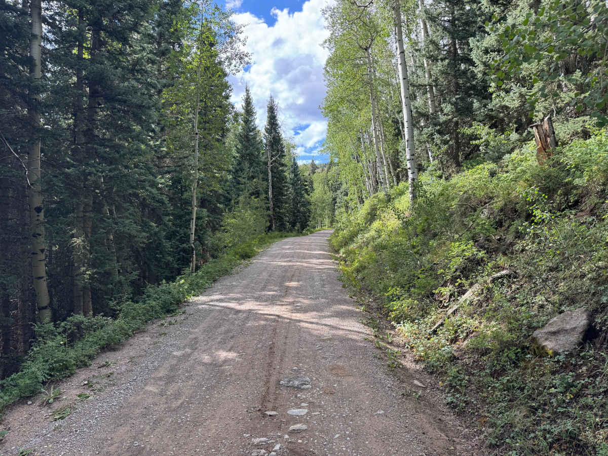 County Road 579 photo 2