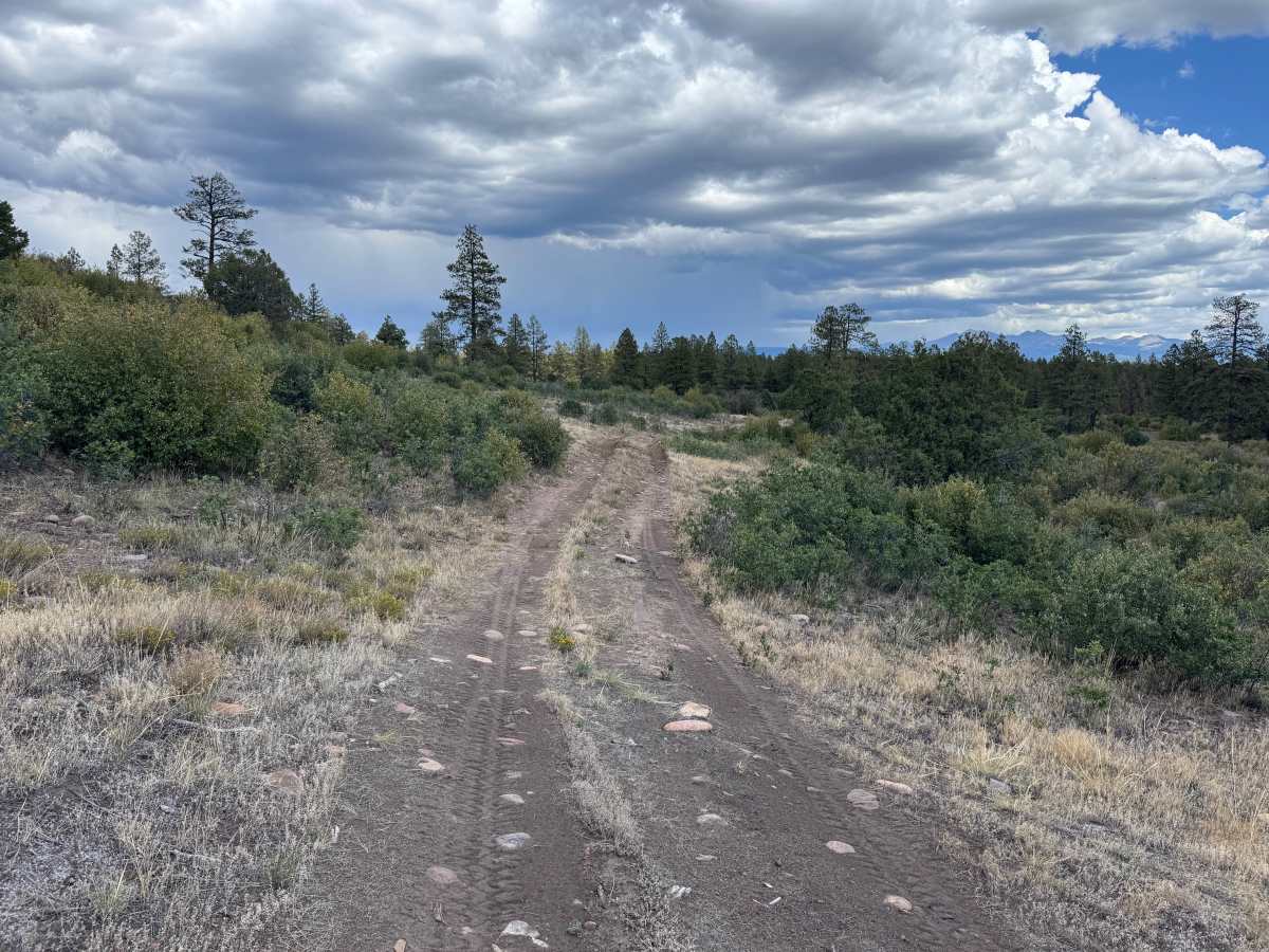Grouse Point a Road photo 5