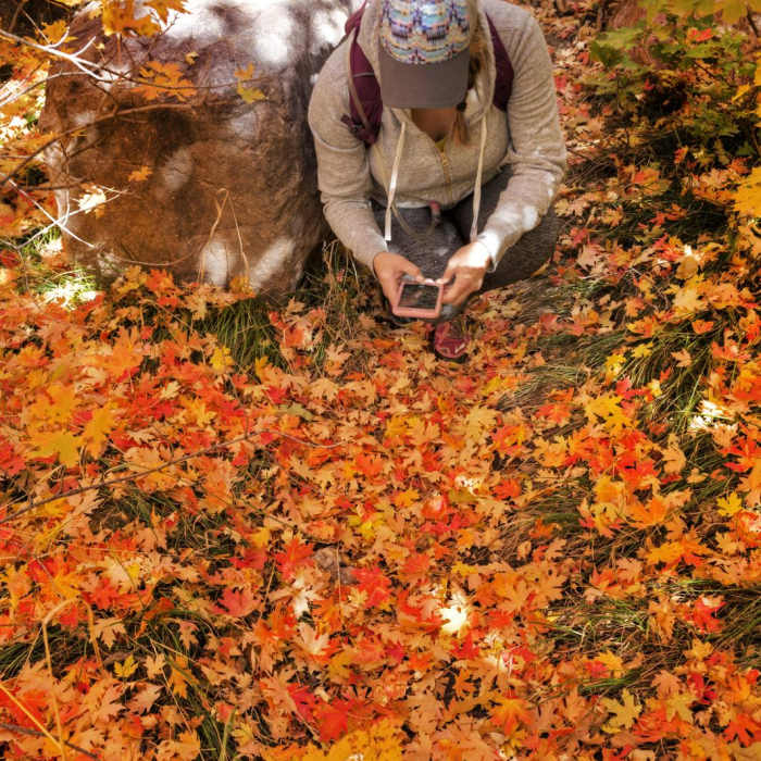 Near South Fork of Neff's Canyon