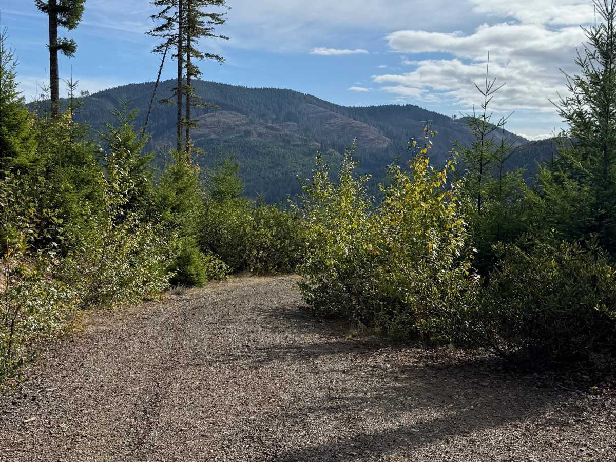 DNR Road 124 trail photo