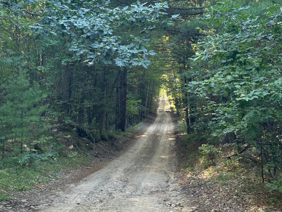 Strief Road photo 5