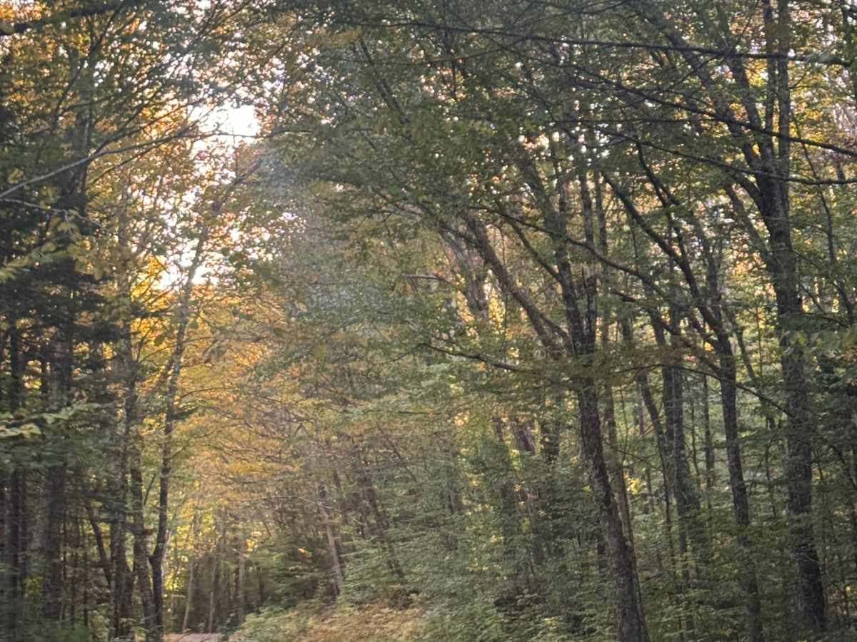 Hubbard Brook Road  photo 3