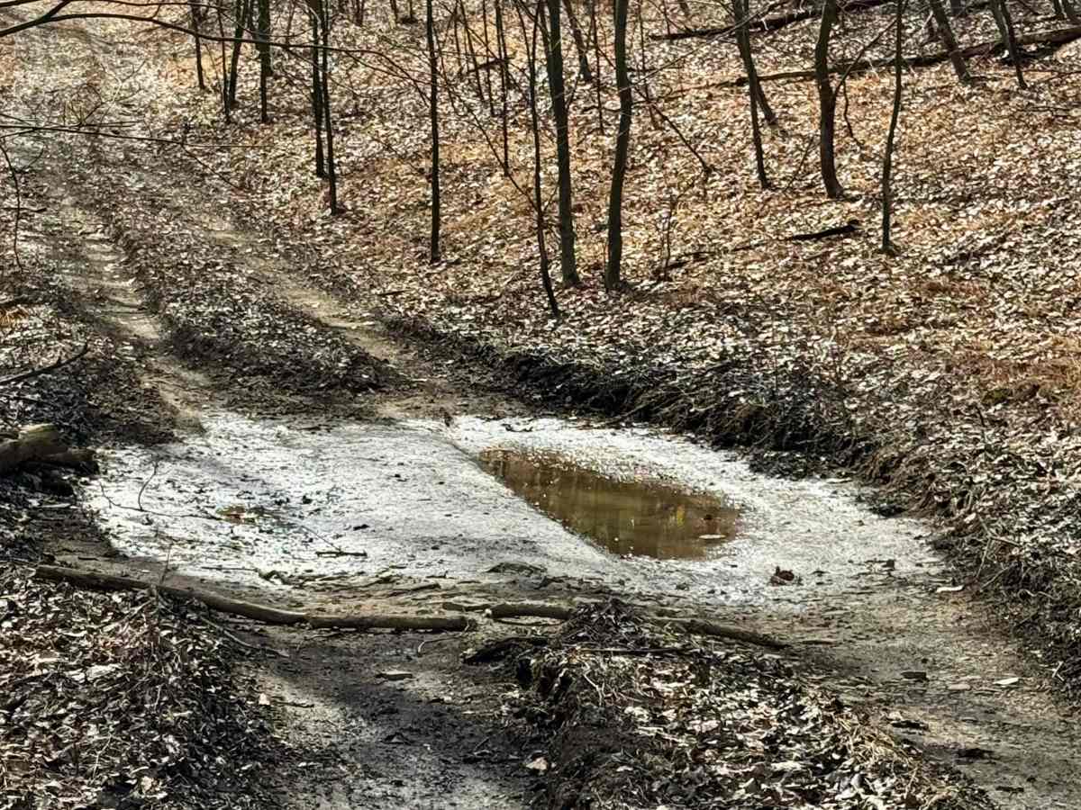 Flat Rock Road photo 5