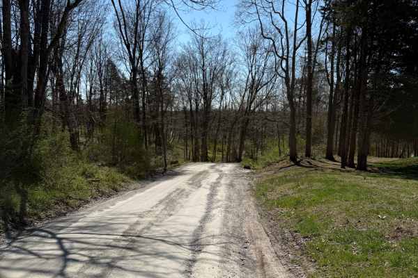 Tankhannen Road