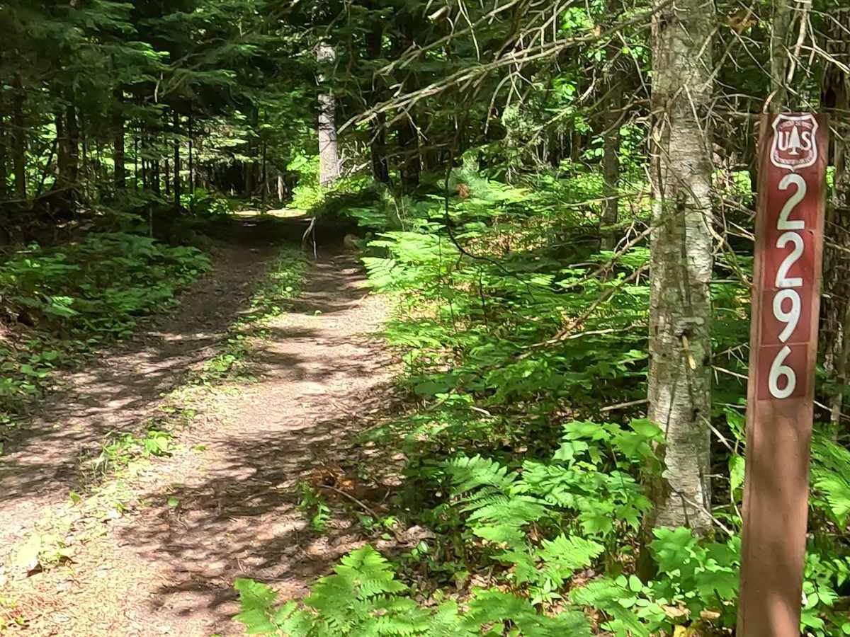 FS 2296 trail photo