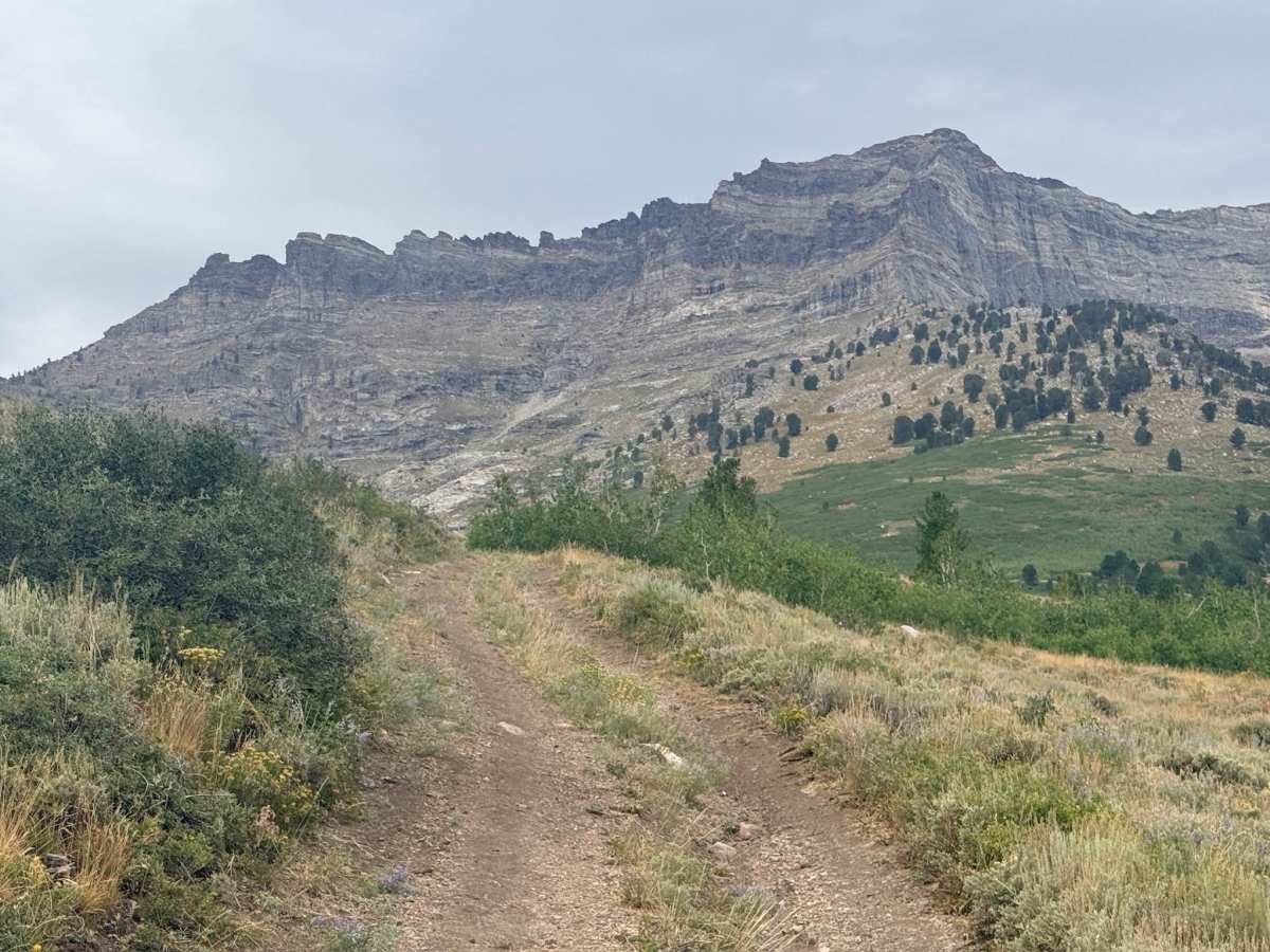Weeks FS17728 trail photo