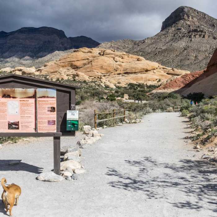 Near Calico Tanks Trail