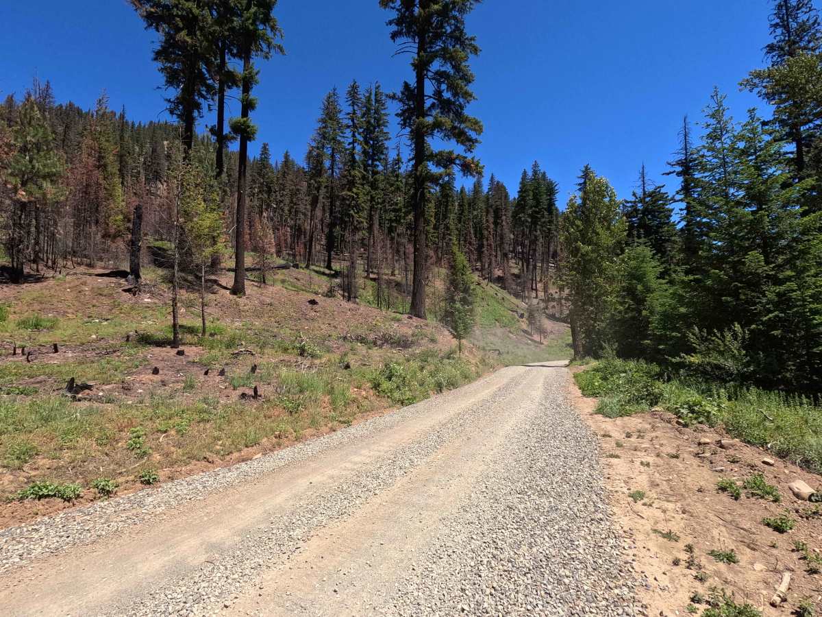 North Fork Teanaway Road - FS 9737 photo 6