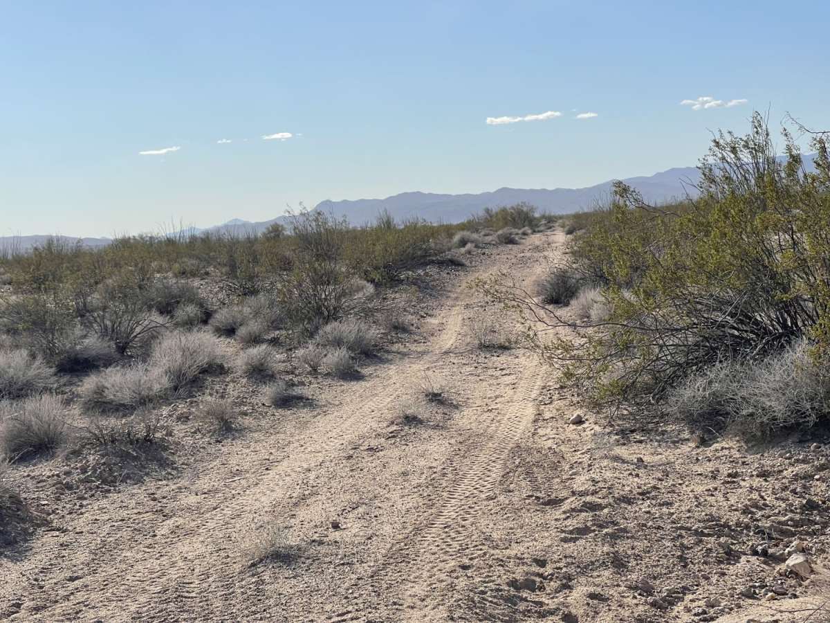 Where Did The Trail Go photo 6