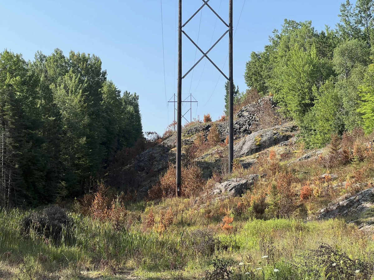 Carney Lake Road photo 2