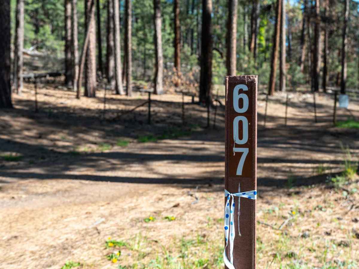FS 607 trail photo