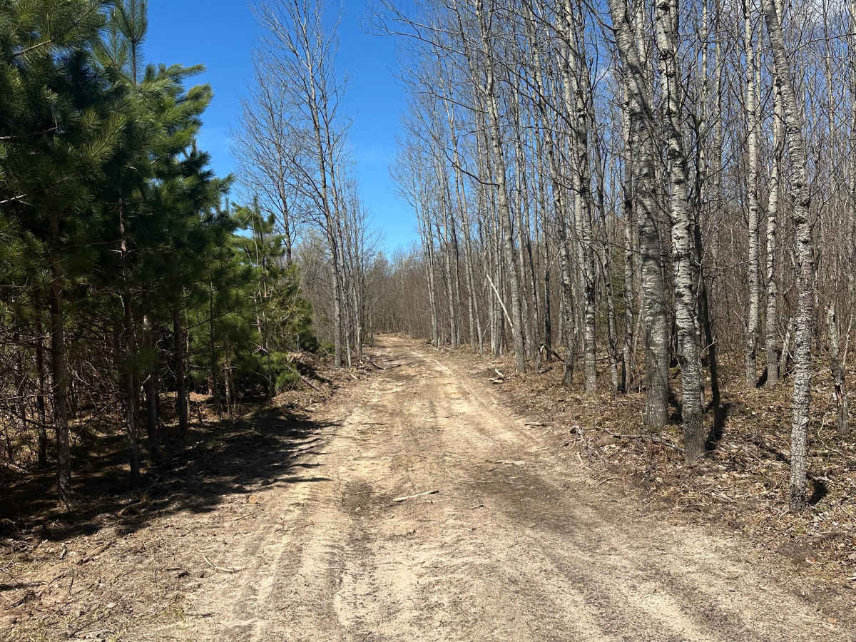 Storm Loop photo 2
