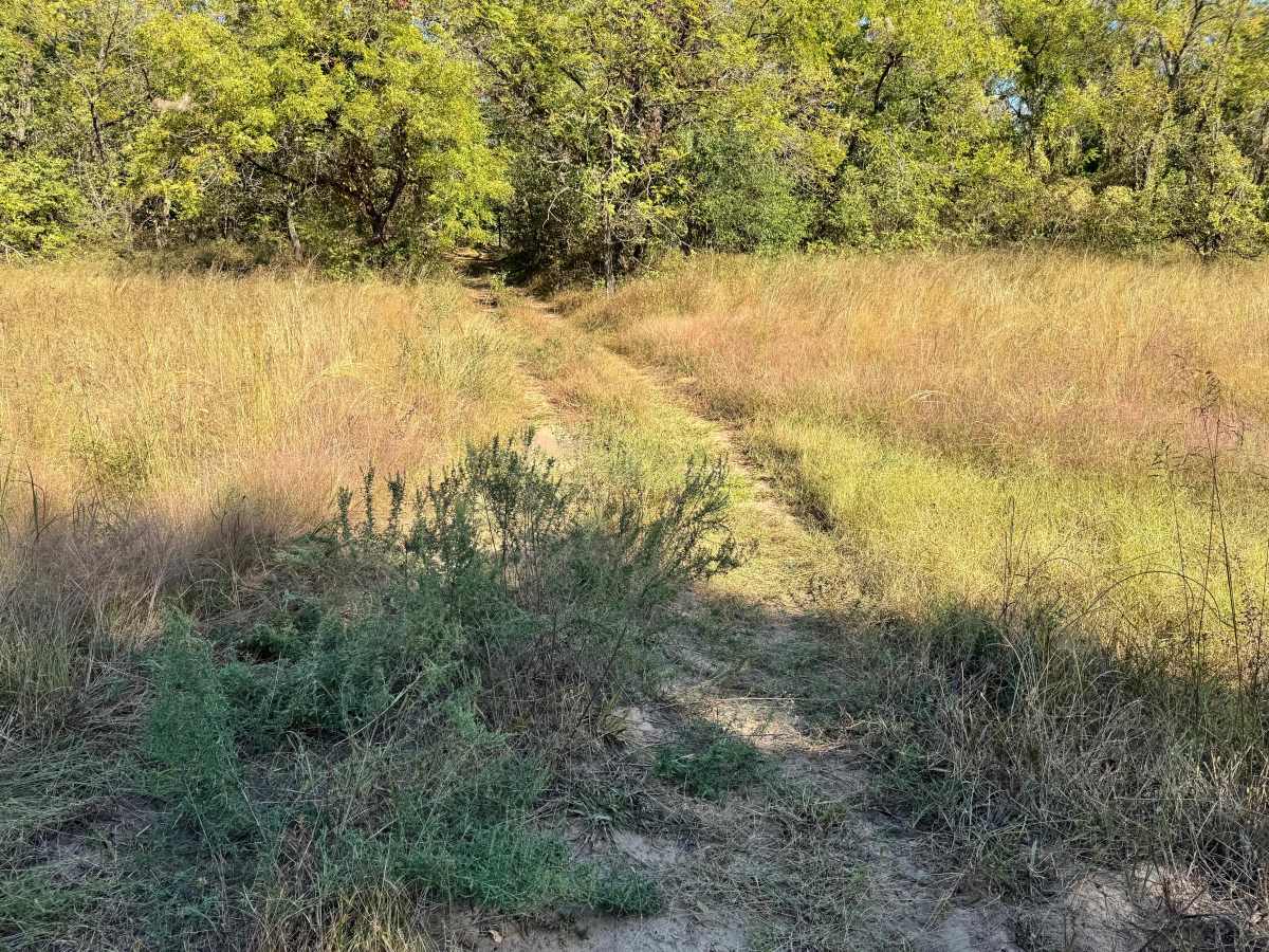 Toolbox Trail photo 6