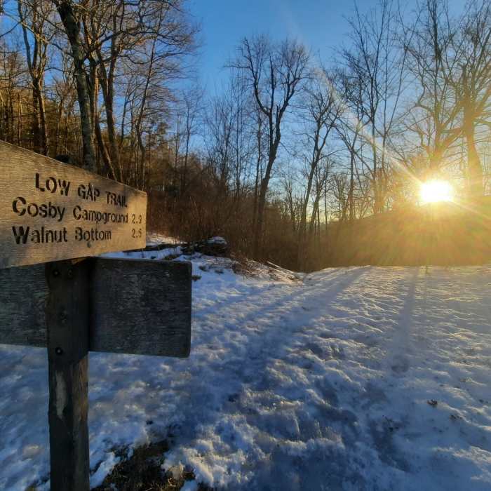 Low Gap at sunrise. The A.T. runs horizontally across the gap. Near Smokies Challenge Adventure Run (SCAR)