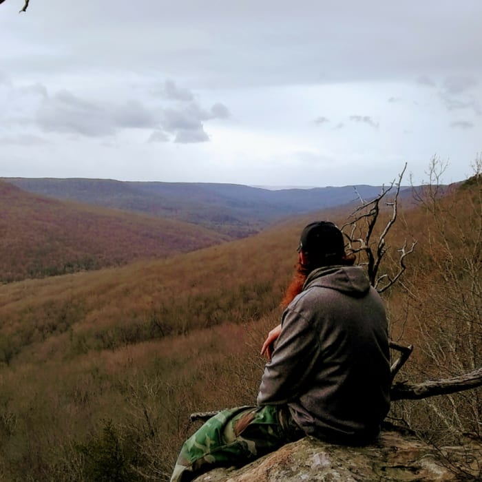 Near Virgin Falls Lollipop