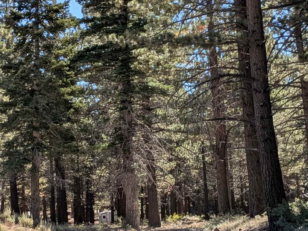 Sherwin Creek Road - FS 4S08 photo 5