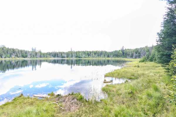 O'Brien Lake Road - FS 4061