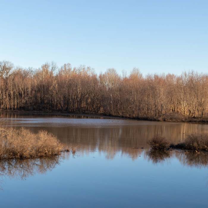 Near Main Trail