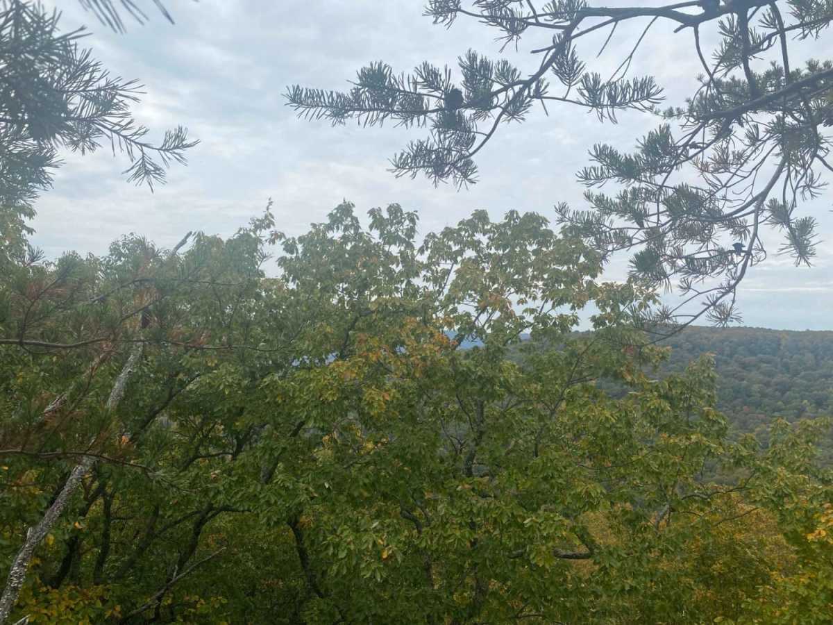 Overlook photo 3