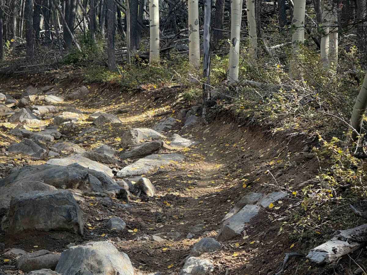 North Bald Pitkin Cut-Off Trail - FS 649  photo 2