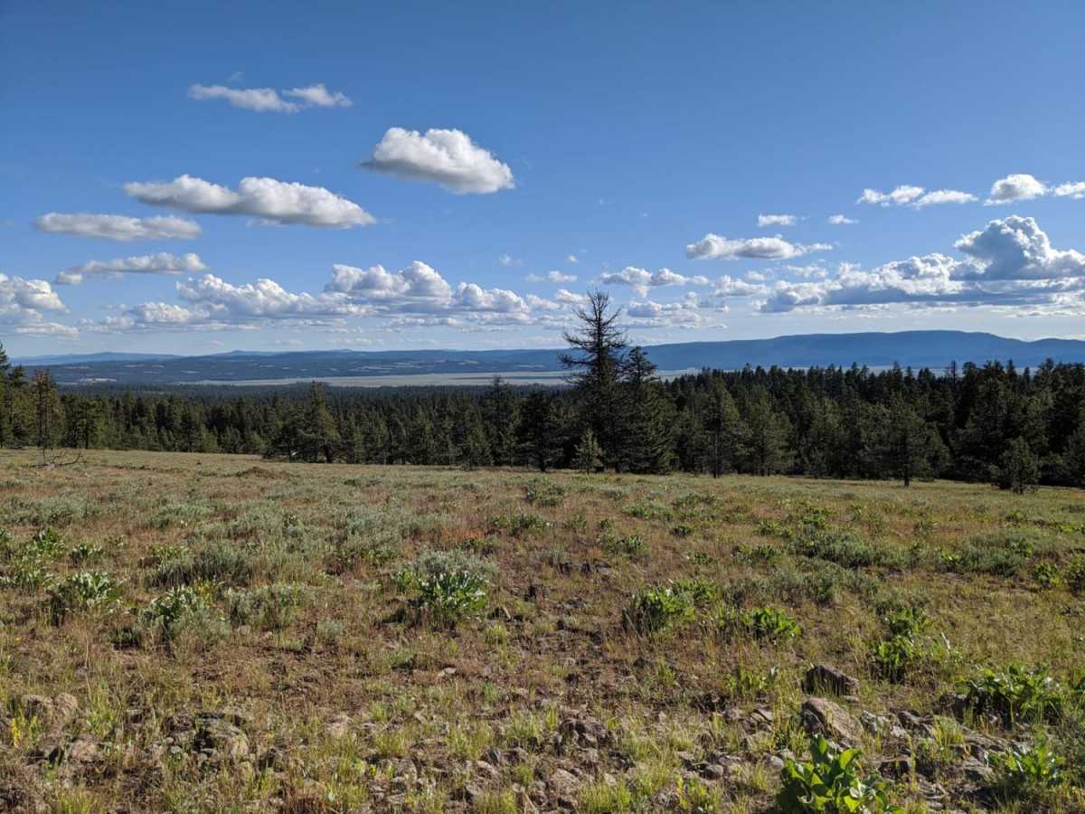 RD 2630 / Summit Trail photo 4