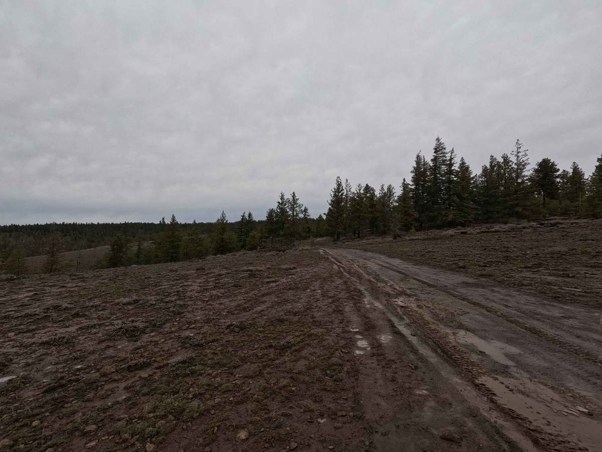 Little Caribou Road photo 3