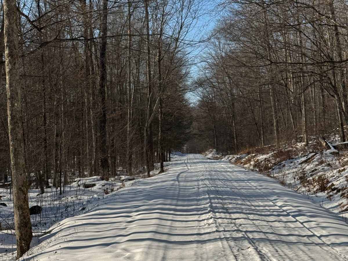 Big Hollow Road photo 6