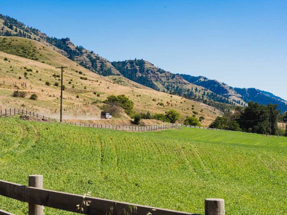 Imnaha to Wallowa Mountain Loop trail photo