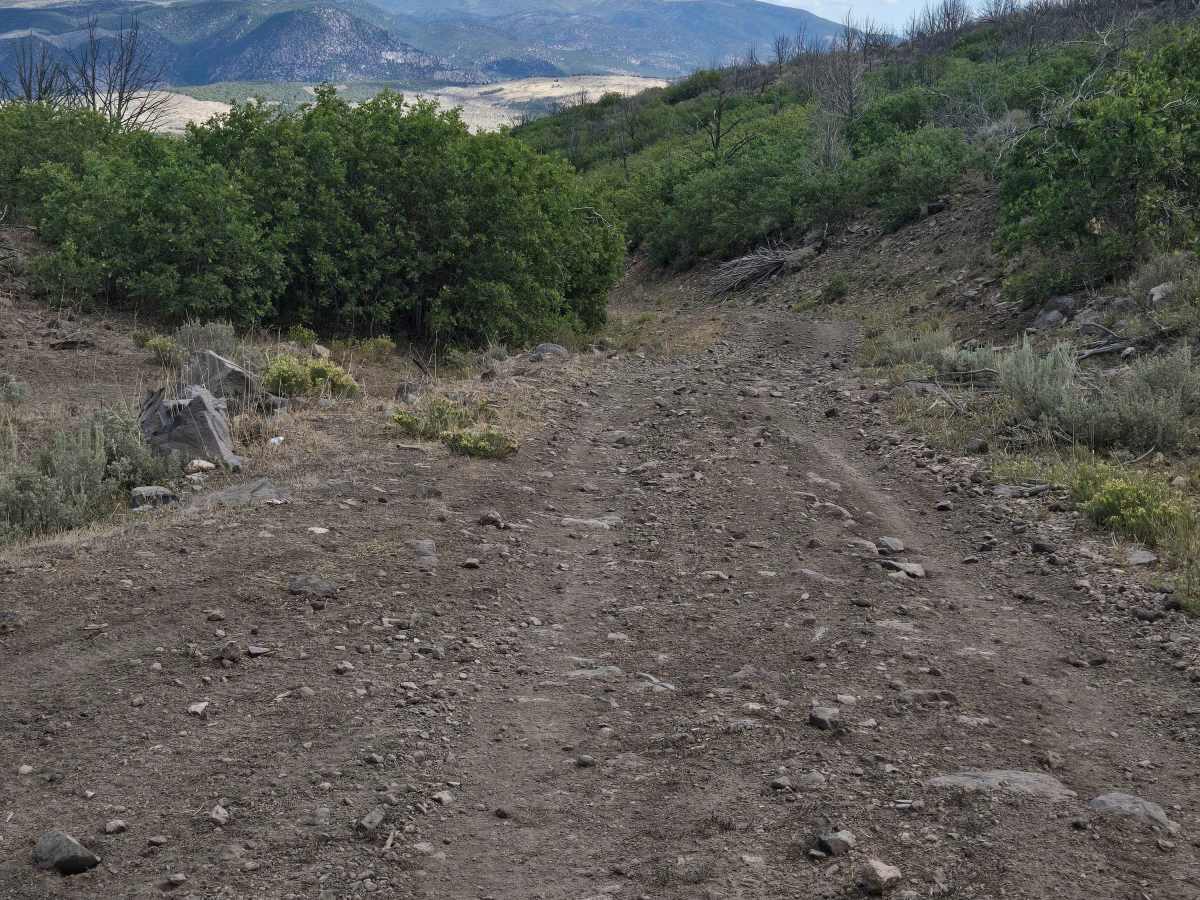 Rugged Wash Trail - FS 41120 photo 4