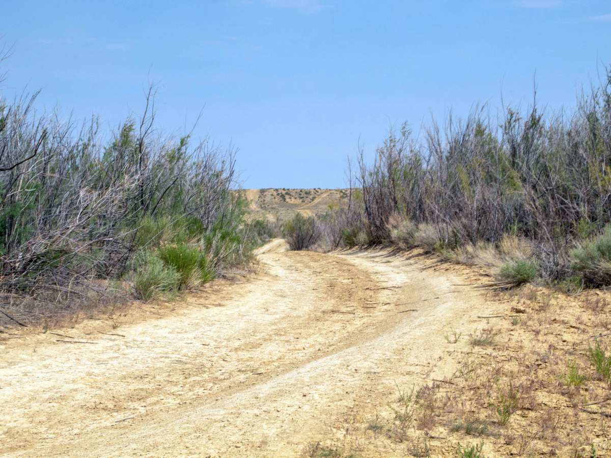 Badger West - FS 60160 photo 4