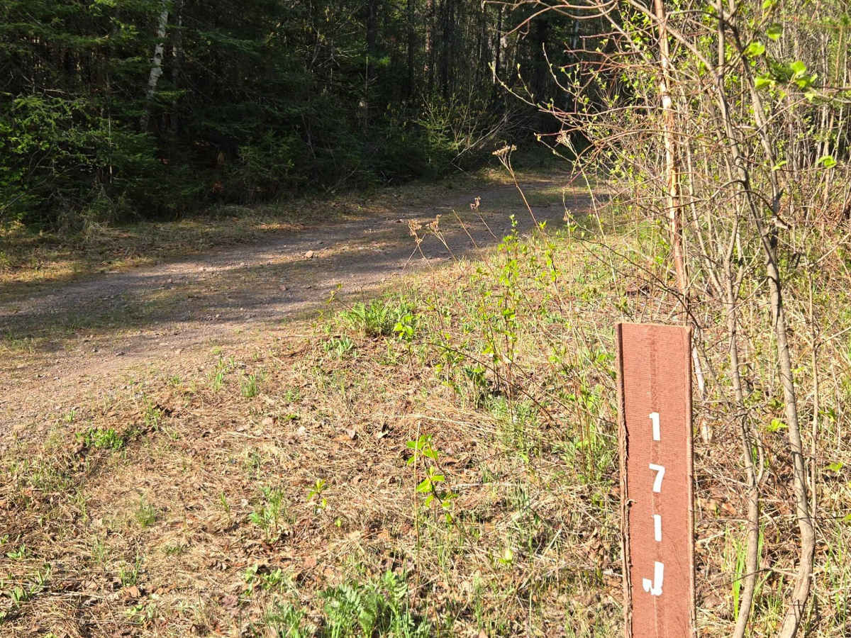 Harriet Lake Spur photo 3