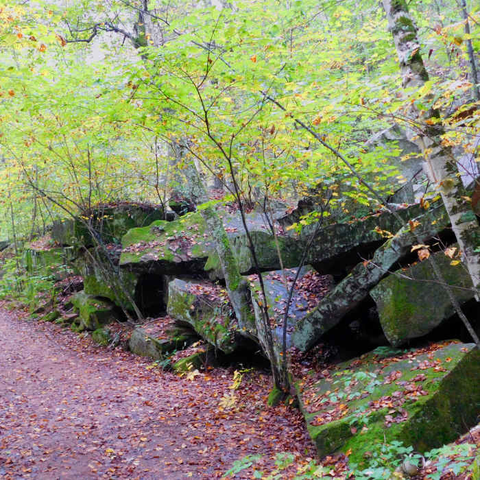 As a testament to its history, large slabs of rock are piled next to the Quarry Loop Trail. Near The Best of Banning State Park